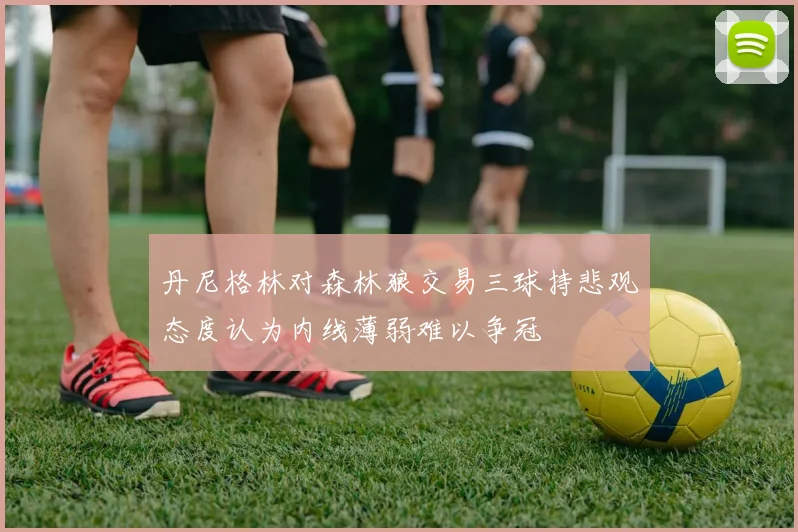 丹尼格林对森林狼交易三球持悲观态度认为内线薄弱难以争冠