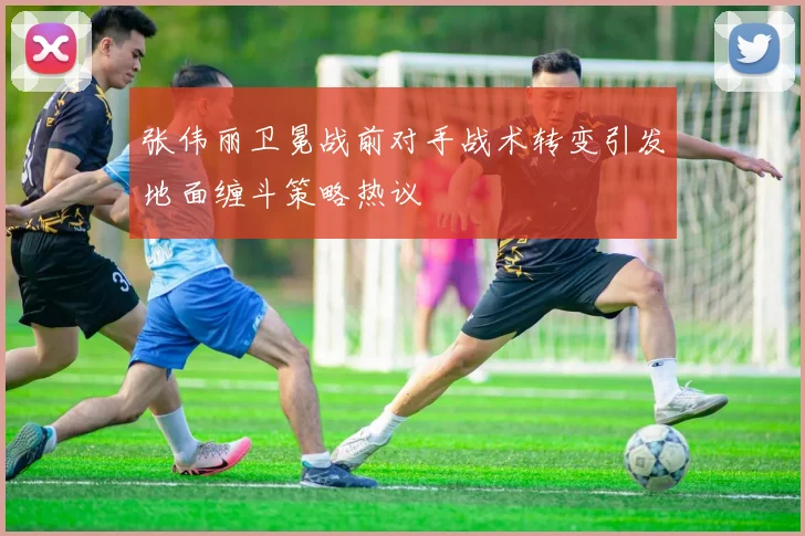张伟丽卫冕战前对手战术转变引发地面缠斗策略热议